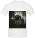 NF Mansion Men's Crew Neck Slim Fit Tee Shirts XX-Large, White., XX-Large